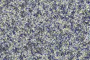382微信图片_20260908104654.webp
