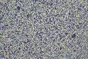 381微信图片_20260908104659.webp